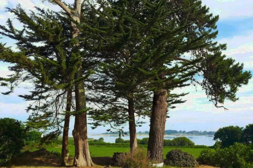 別荘 Residence Keryvet, Maison De Charme Vue Mer, Plage A 250M, プルームール・ボドゥー フランス